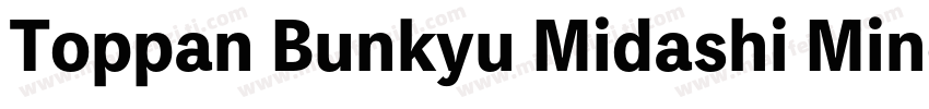 Toppan Bunkyu Midashi Mincho Extrab字体转换